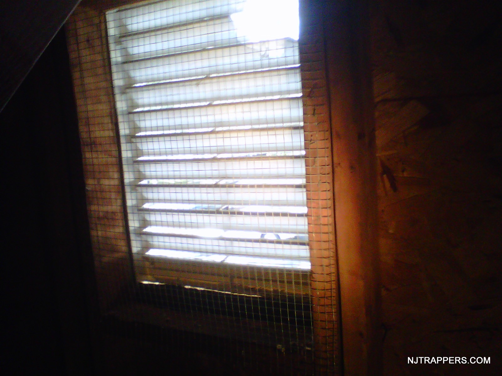 NJ Trappers » Attic and Gable Vent Screens