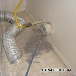 3-dryer-vent-cleaning