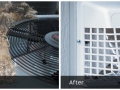 1-Bird Materials in Dryer Vent